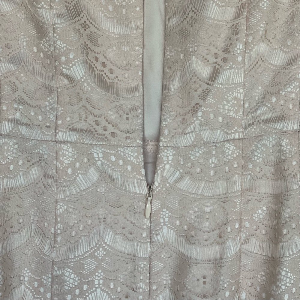 ANTONIO MELANI Blush Lace Sheath Dress - Picture 14 of 16